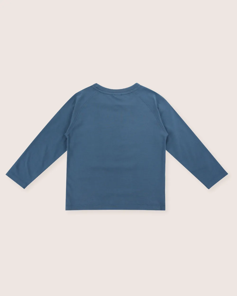 Blue Bear Face Print Top