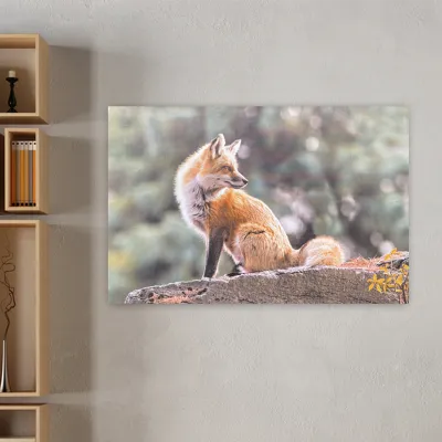 Fox Printed Canvas