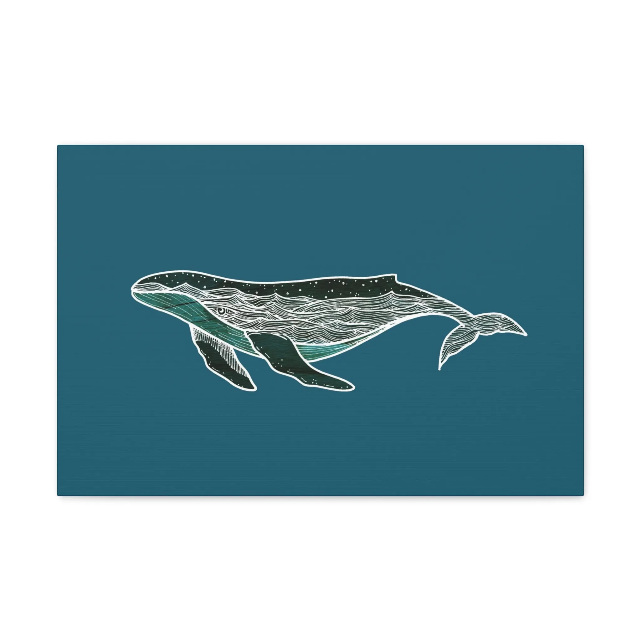 Humpback Whale Canvas Print