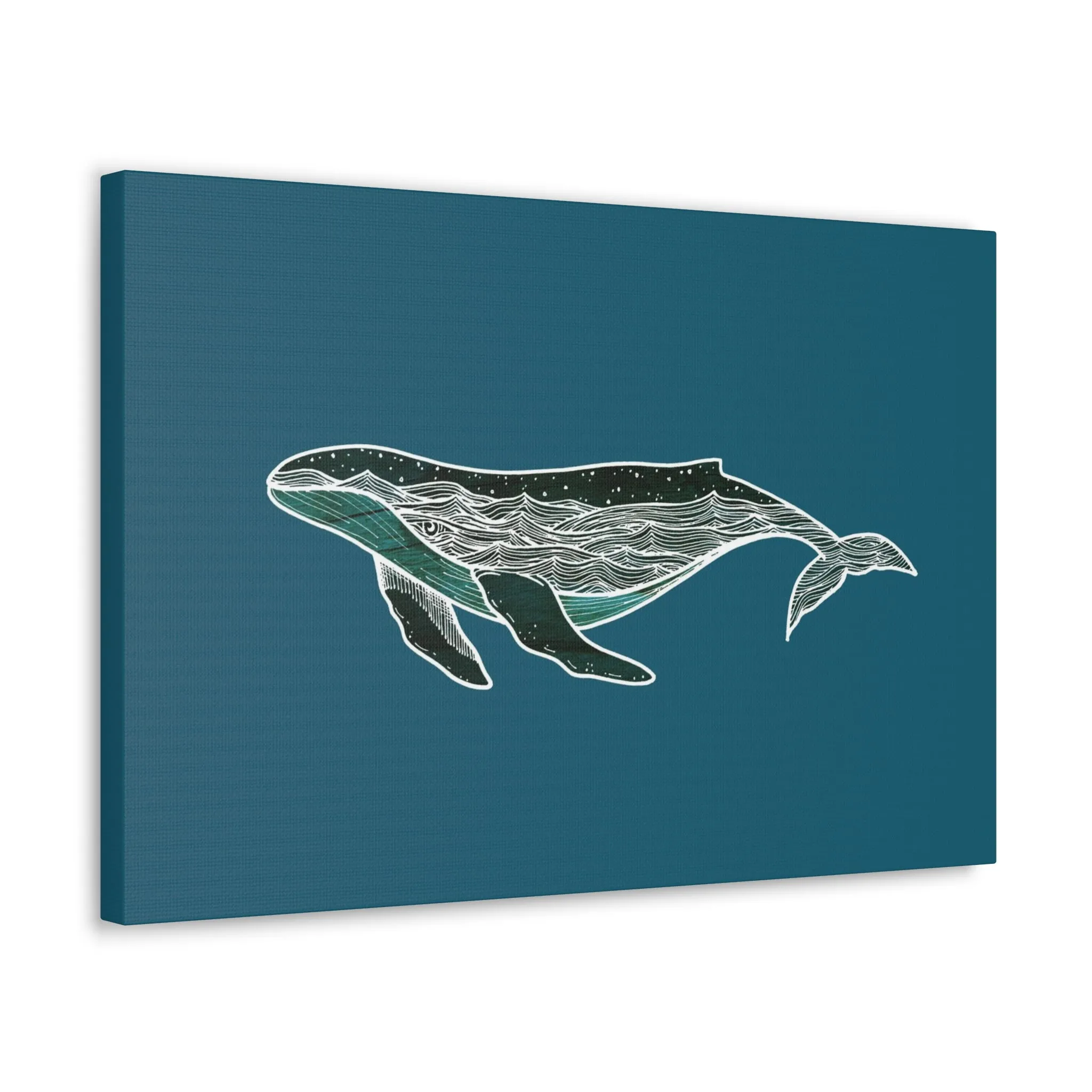 Humpback Whale Canvas Print