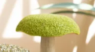 Mosaic Mushrooms