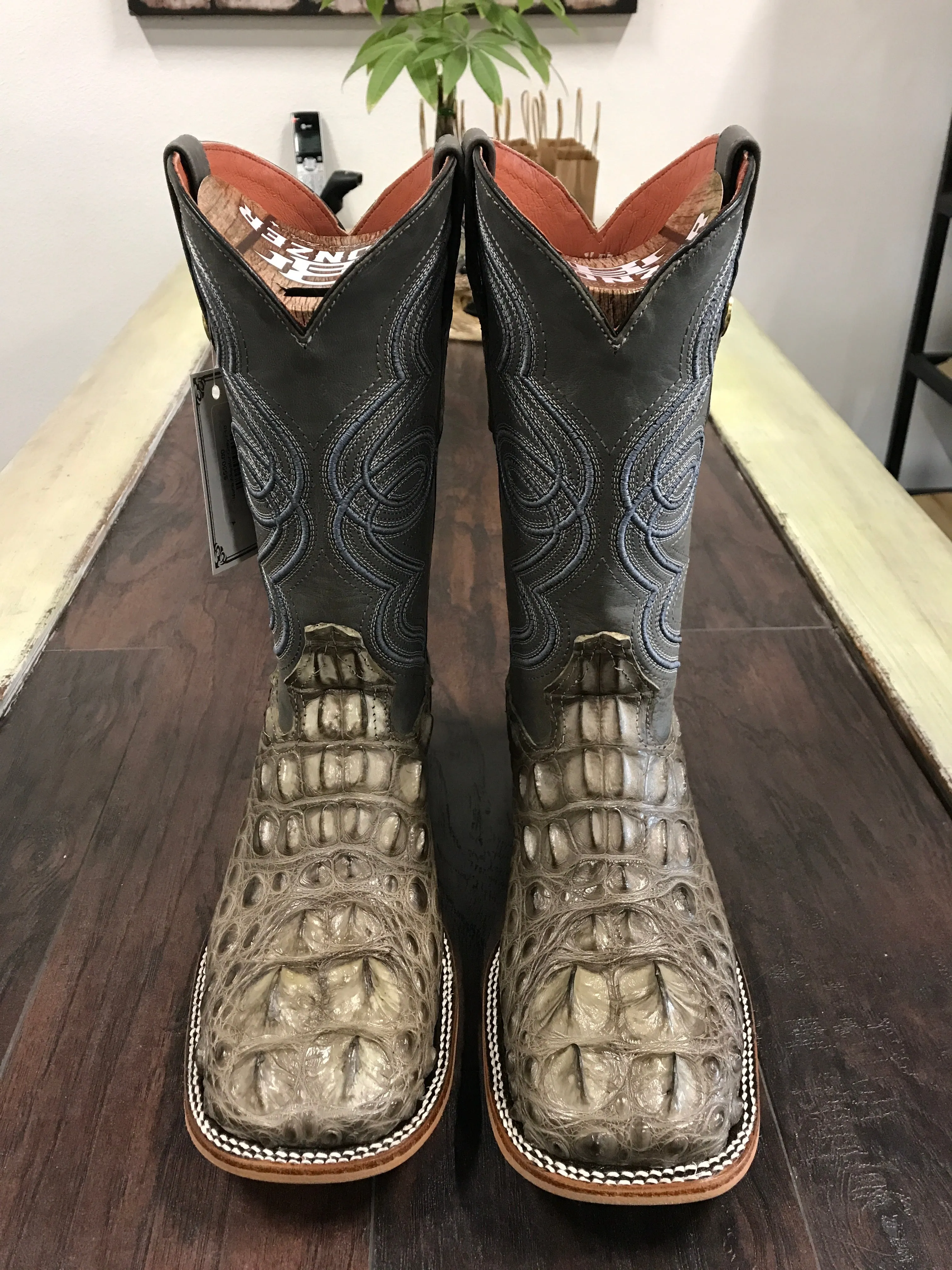 Nuca Alligator Grey