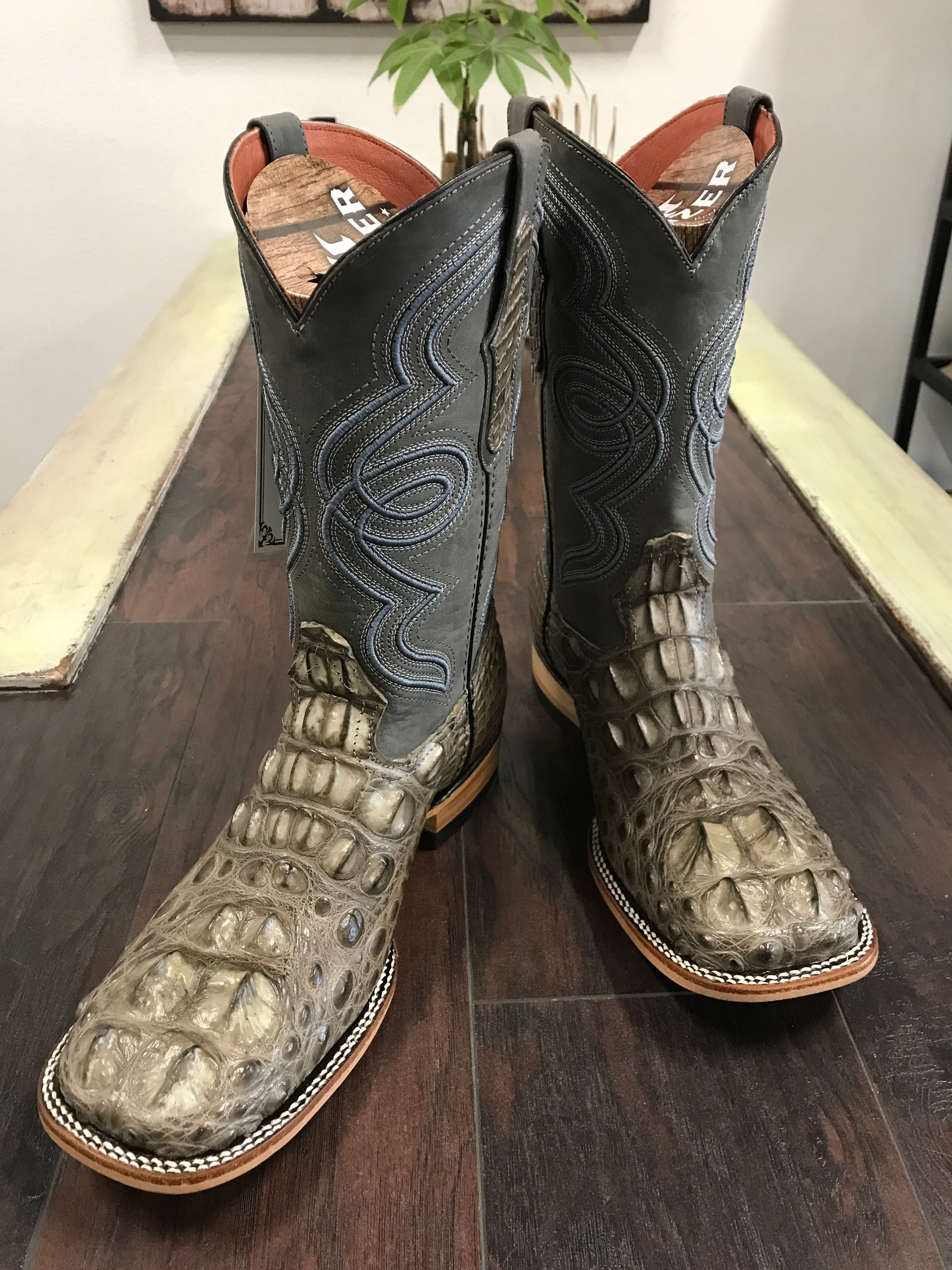 Nuca Alligator Grey