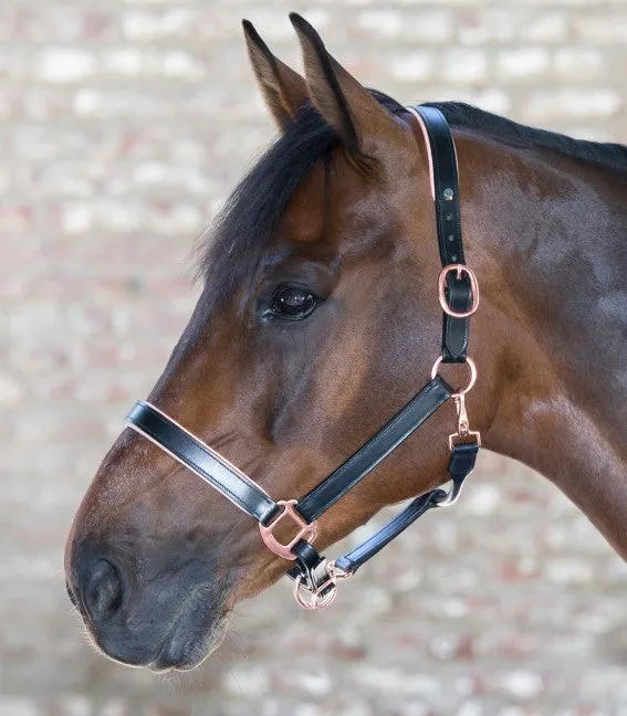 X-Line Halter in Rose Gold